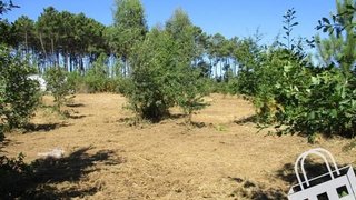Terreno de 5460 m² em Viseu