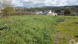 Land for sale in Alcobaça, Portugal