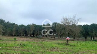Land for sale in Alcobaça, Portugal — €97,000