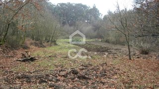 Land for sale in Guimarães, Portugal — €550,000