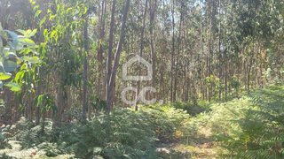 Land for sale in Guimarães, Portugal — €25,000