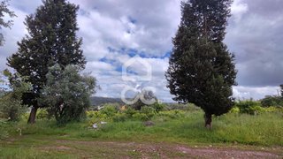 Land for sale in Alvaiázere, Portugal — €30,000