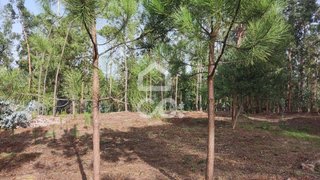 Land for sale in Vila Nova de Cerveira, Portugal — €150,000