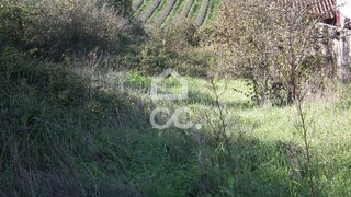Land for sale in Bombarral, Portugal — €38,000