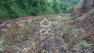 Land for sale in Celorico de Basto, Portugal — €66,000