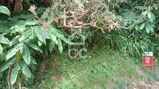 Land for sale in Nordeste, Portugal — €19,950