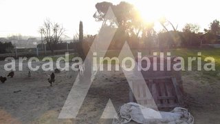 Land for sale in Anadia, Portugal — €99,000