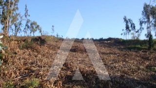 Land for sale in Águeda, Portugal — €35,000