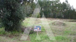 Land for sale in Oliveira do Bairro, Portugal — €55,000