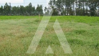 Land for sale in Oliveira do Bairro, Portugal — €22,500