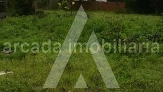 Land for sale in Vagos, Portugal — €50,000