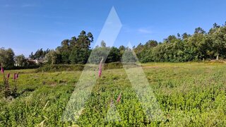 Land for sale in Anadia, Portugal — €35,000
