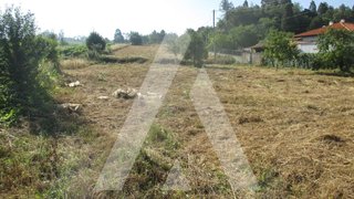 Land for sale in Anadia, Portugal — €107,000