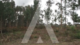 Land for sale in Oliveira do Bairro, Portugal — €50,000