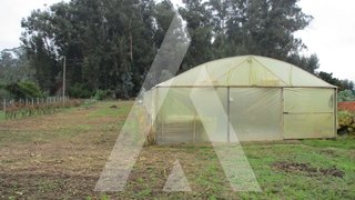 Land for sale in Águeda, Portugal — €65,000