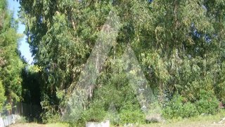 Land for sale in Oliveira do Bairro, Portugal — €45,000