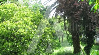 Land for sale in Oliveira do Bairro, Portugal — €350,000