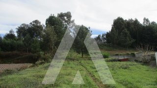Land for sale in Anadia, Portugal — €40,000