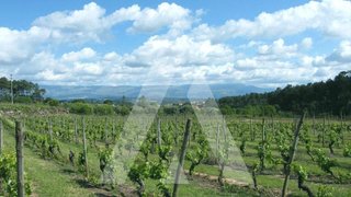 Land for sale in Cantanhede, Portugal — €100,000