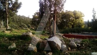 Land for sale in Monchique, Portugal — €250,000