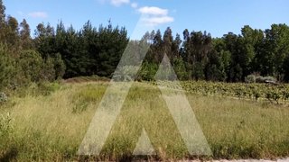 Land for sale in Anadia, Portugal — €9,000
