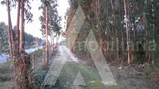 Land for sale in Águeda, Portugal — €100,000