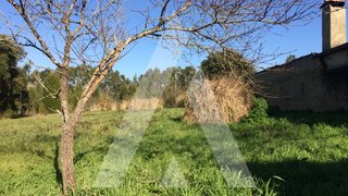 Land for sale in Anadia, Portugal — €30,000