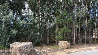 Land for sale in Águeda, Portugal — €85,000