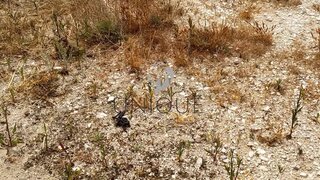 Land for sale in Ílhavo, Portugal — €120,000