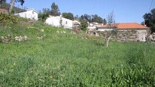 Land for sale in Paredes, Portugal — €40,000