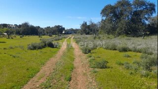 Terreno de 13 000 m² em Faro
