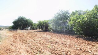 Land for sale in São Brás de Alportel, Portugal — €99,500