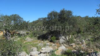 Land for sale in São Brás de Alportel, Portugal — €76,150