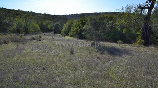 Terreno em Faro