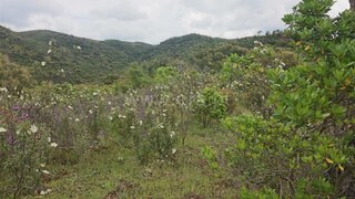 Terreno em São Brás de Alportel