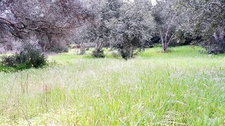 Land for sale in Loulé, Portugal — €28,000