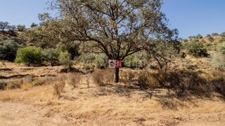 Land for sale in Castro Marim, Portugal — €18,000