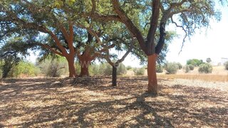 Land for sale in Loulé, Portugal — €800,000