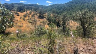 Land for sale in Alcoutim, Portugal — €35,000