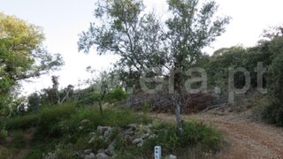 Land for sale in São Brás de Alportel, Portugal — €40,000