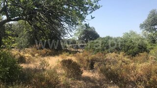 Land for sale in São Brás de Alportel, Portugal — €30,000