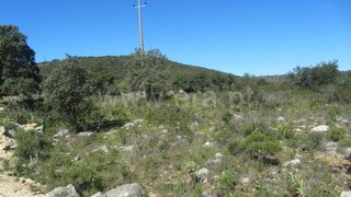 Land for sale in São Brás de Alportel, Portugal