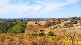 Land for sale in Castro Marim, Portugal — €40,000