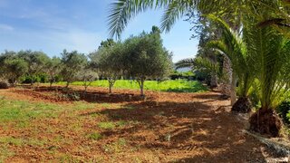 Land for sale in Silves, Portugal — €295,000