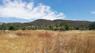Land for sale in Loulé, Portugal — €45,000