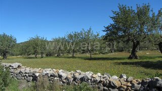 Land for sale in São Brás de Alportel, Portugal — €43,000