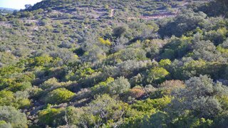 Terreno em Faro