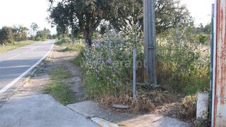 Land for sale in Loulé, Portugal — €40,000