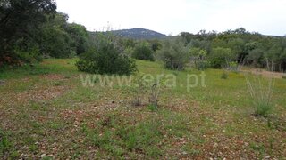 Grundstück · 5.200 m² · 20.000 €