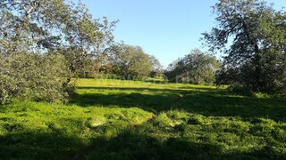 Land for sale in Loulé, Portugal — €1,500,000